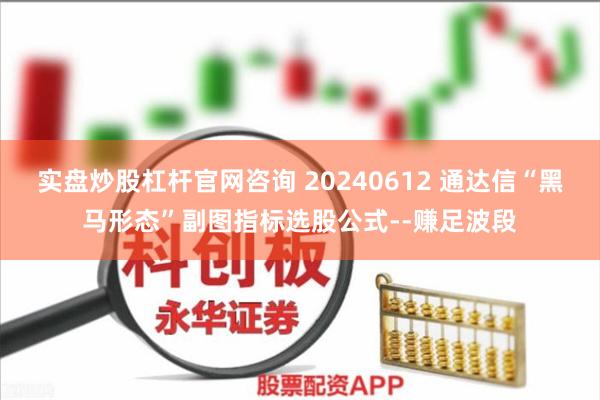 实盘炒股杠杆官网咨询 20240612 通达信“黑马形态”副图指标选股公式--赚足波段
