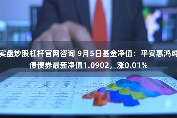 实盘炒股杠杆官网咨询 9月5日基金净值：平安惠鸿纯债债券最新净值1.0902，涨0.01%