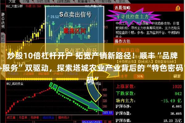 炒股10倍杠杆开户 拓宽产销新路径！顺丰“品牌+服务”双