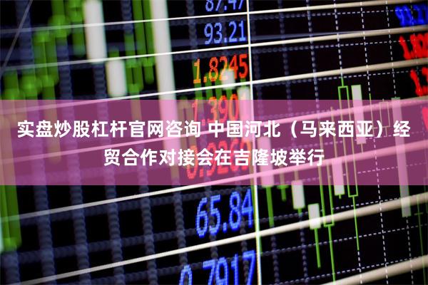 实盘炒股杠杆官网咨询 中国河北（马来西亚）经贸合作对接会在吉隆坡举行