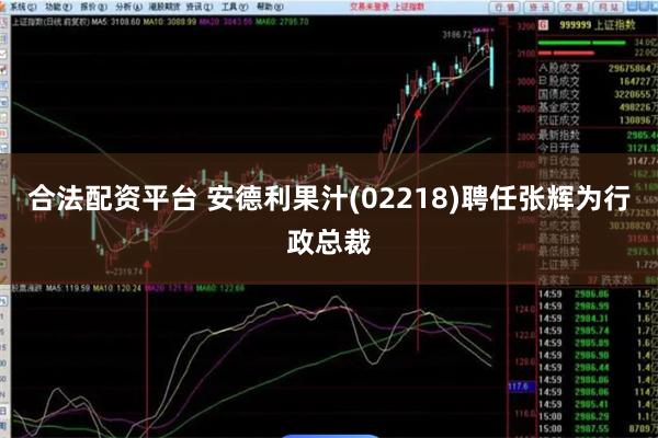 合法配资平台 安德利果汁(02218)聘任张辉为行政总裁
