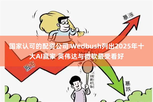 国家认可的配资公司 Wedbush列出2025年十大AI赢家 英伟达与微软最受看好